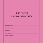 Ly lich can bo cong chuc