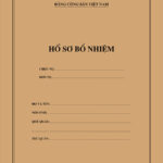tui ho so bo nhiem